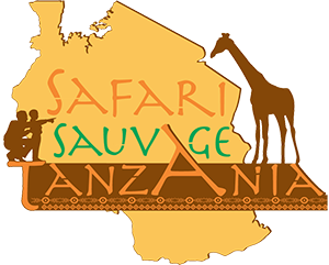 Safari Sauvage Tanzania 